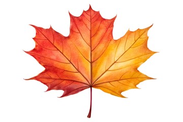 Obraz premium Single Maple Leaf with Autumn Gradient Colors | Fall Foliage Illustration, Red Orange Yellow Leaf Visual, Seasonal Nature Symbol