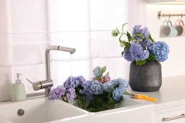 Bouquets of beautiful blue hortensia flowers in kitchen