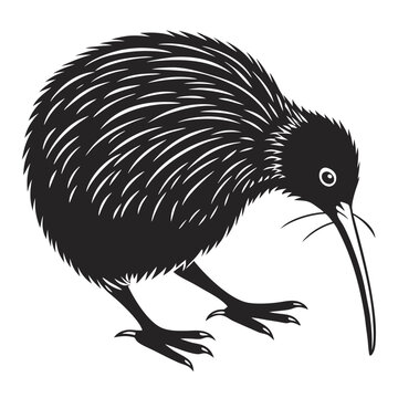 Illustration of a kiwi bird isolated on white background this vector graphic shows a black and white drawing of the iconic new zealand animal in a simple, elegant style