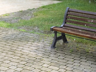 Park Bench in the Rain