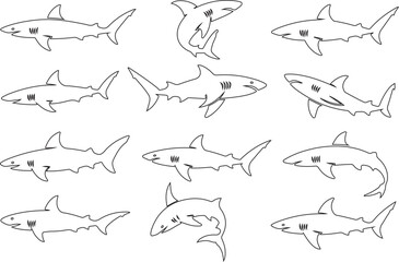 Set of Shark Outline Icons on White Background