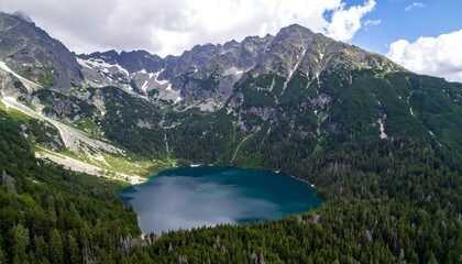 Obraz premium Mountain lake surrounded by forest