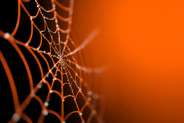 Abstract spider web made of smooth curved lines, minimal Halloween concept