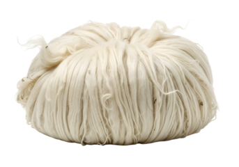 Close-up Image of a Creepy White Silkworm Basted in Its Cocoon Handcrafted with Intricate Threads