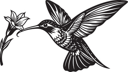 Black and white cartoon drawing of a hummingbird silhouette on a wild branch with a flower