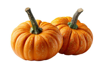 Two whole orange gourds with textured stems on a white background
