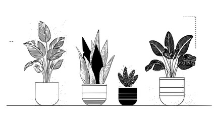 Fototapeta premium Illustration of potted plants drawing home decor plant illustration indoor plants botanical art line art style