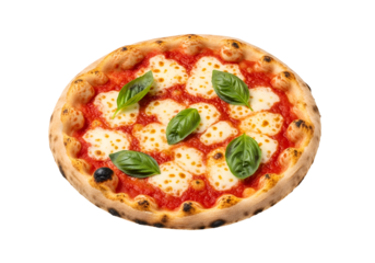 Delicious freshly baked cheese and basil pizza with a golden crust and vibrant toppings on a black