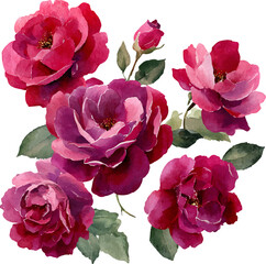 Fototapeta premium bouquet of pink roses