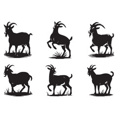 Fototapeta premium Six silhouette goats in various poses on white background