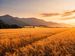 Obraz premium Golden Wheat Field at Sunset with Mountain Range Background