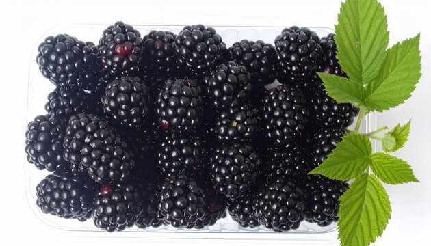 a punnet of fresh blackberries