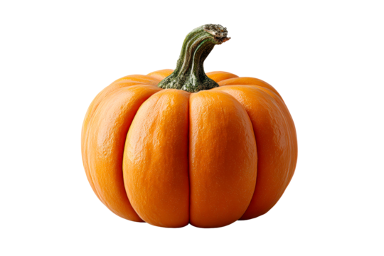 Bright orange pumpkin with defined ridges