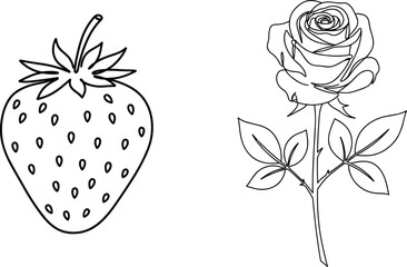 Black and White Strawberry and Rose Line Art, Floral and Fruit Illustration for Coloring Books, Nature Sketch Isolated on White Background