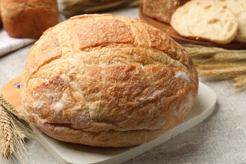 Fresh bread and wheat spikes on grey table, closeup