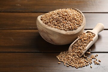 Wheat grains in bowl and scoop on wooden table, closeup. Space for text