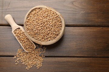 Wheat grains in bowl and scoop on wooden table, flat lay. Space for text