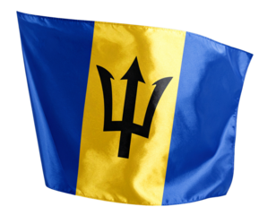 Barbados Flag in Smooth Silk Fabric, Diagonally Draped, Isolated PNG