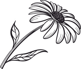 Vector art of black and white daisy flower illustration isolated on white background
