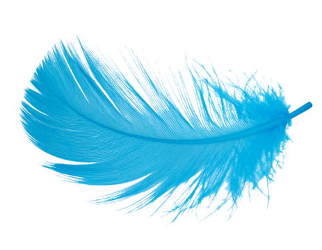 Soft Vibrant Blue Feather Floating, Isolated on Transparent Background
