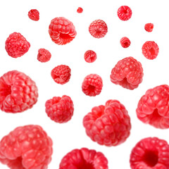 Fresh raspberries swirling in air against white background