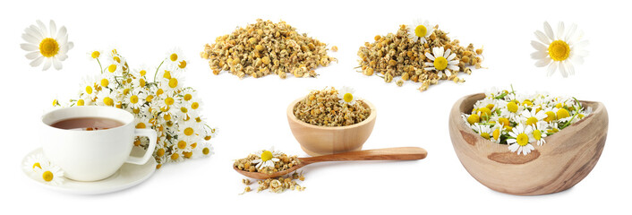 Dried and fresh chamomile flowers and herbal tea isolated on white, set