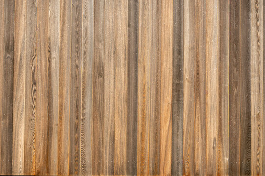 Nahaufnahme einer Holzvert&auml;felung