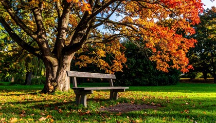 Autumn park bench scene (1)