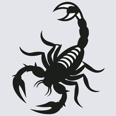 a scorpion with raised tail silhouette vector art illustration, scorpion silhouette on white background