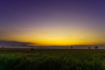 sunset over the field