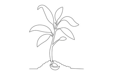 Minimalist vector of a mango seed germinating into a small plant with leaves