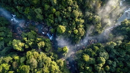 Aerial view of a lush rainforest with waterfalls