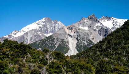 Mountain peaks with snow and forest