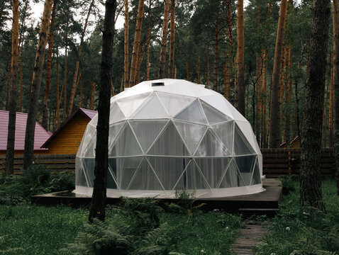 A modern white geodesic dome tent set in a lush green forest, surrounded by tall pine trees. The sunlight filters through the foliage, casting warm light on the eco-friendly glamping structure. 