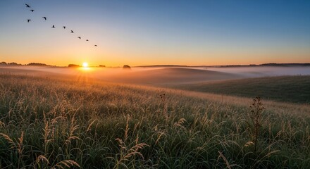 Serene Sunrise Over Misty Rolling Hills with Birds in Flight