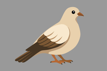 Fototapeta premium vector illustration of a dove