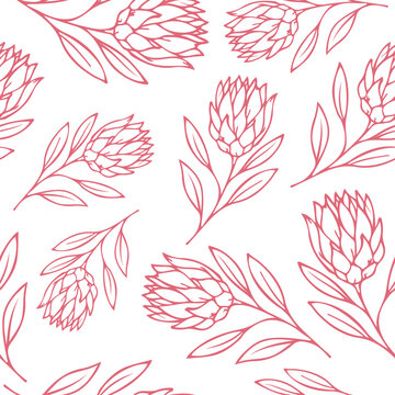 pattern with twigs with leaves and an open bud of proteas drawn with a pink outline in line art style, for postcards, posters or business cards