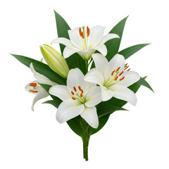 Elegant Bouquet of White Lilies with Green Leaves