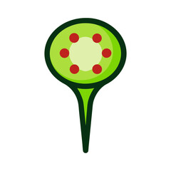 Would you like it shorter or more descriptive?