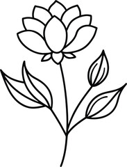 Botanical line art flowers illustration