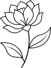 Botanical line art flowers illustration
