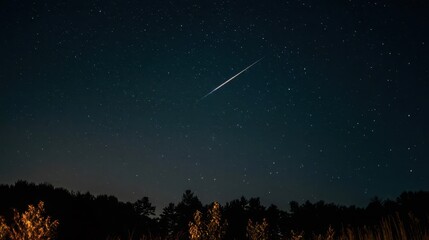 Meteor streaks across a night sky over trees.