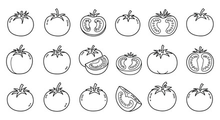 Collection of Line Art Tomato Illustrations
