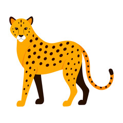 Would you like it shorter or more descriptive?