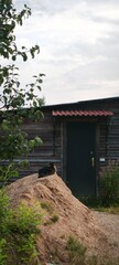 Cat on mound, seen against weathered wooden building with dark door, captures rustic charm. Observing cat basks in sunlight atop dirt pile.