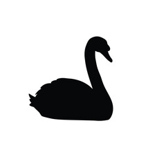 Black swan silhouette bird water