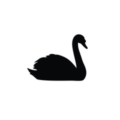 Black swan silhouette bird water
