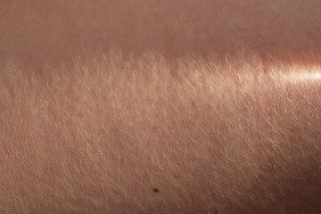 Fototapeta premium The texture of the skin with a ray of sunshine on it.