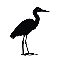 Obraz premium Black heron standing on white background bird silhouette
