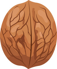 A single detailed illustration of a whole walnut with its distinctive textured brown shell and intricate vein like patterns on a white background